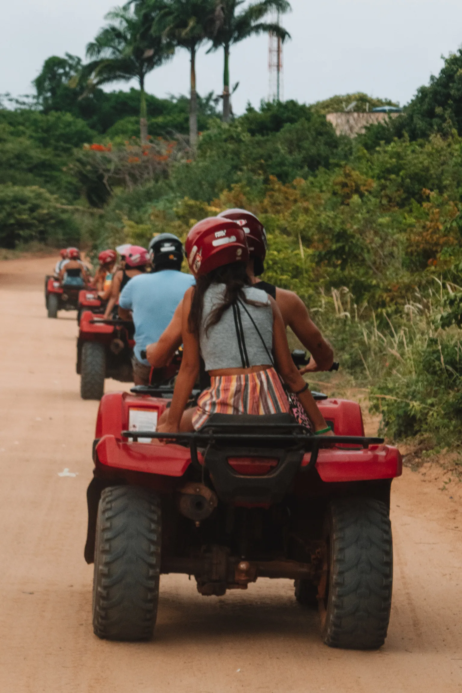 Casa Basilico — photo 5