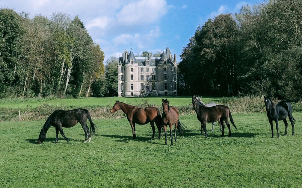 Château Coliving