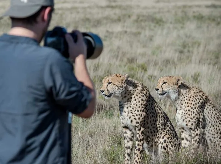 Coworking Safari