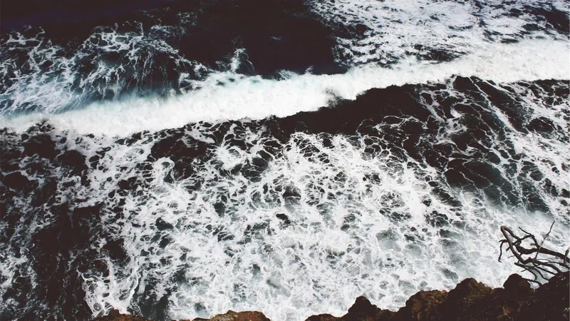Roam